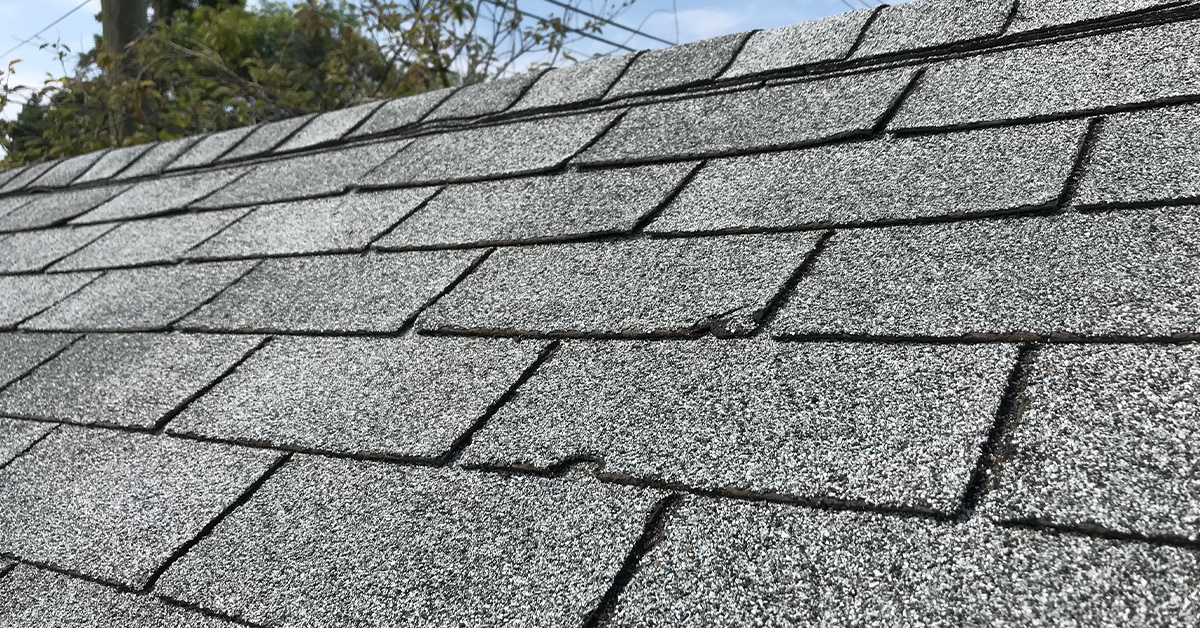 Roof shingles